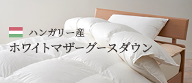 ハンガリー産 ホワイトマザーグースダウン