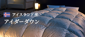 アイスランド産 アイダーダウン